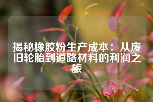 揭秘橡胶粉生产成本：从废旧轮胎到道路材料的利润之旅