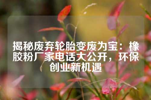 揭秘废弃轮胎变废为宝：橡胶粉厂家电话大公开，环保创业新机遇
