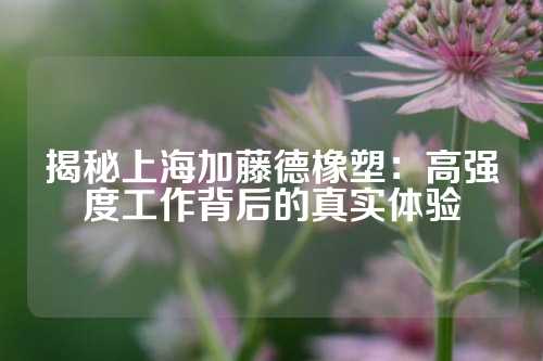 揭秘上海加藤德橡塑：高强度工作背后的真实体验