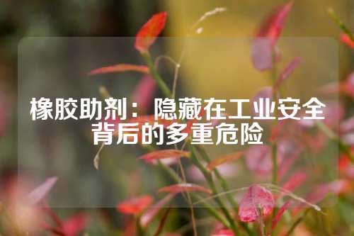 橡胶助剂：隐藏在工业安全背后的多重危险