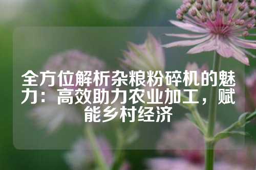 全方位解析杂粮粉碎机的魅力：高效助力农业加工，赋能乡村经济