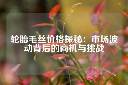 轮胎毛丝价格探秘：市场波动背后的商机与挑战
