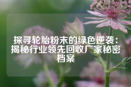 探寻轮胎粉末的绿色逆袭：揭秘行业领先回收厂家秘密档案