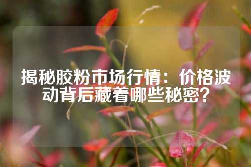 揭秘胶粉市场行情：价格波动背后藏着哪些秘密？