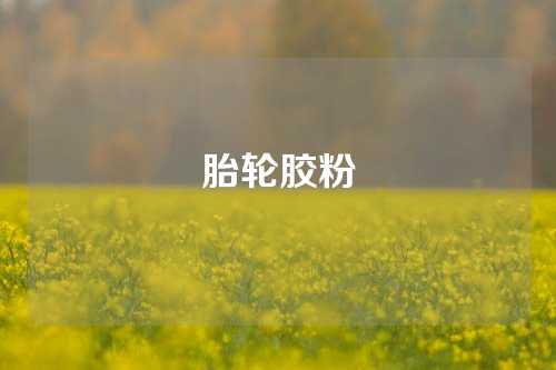 胎轮胶粉