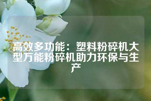 高效多功能：塑料粉碎机大型万能粉碎机助力环保与生产