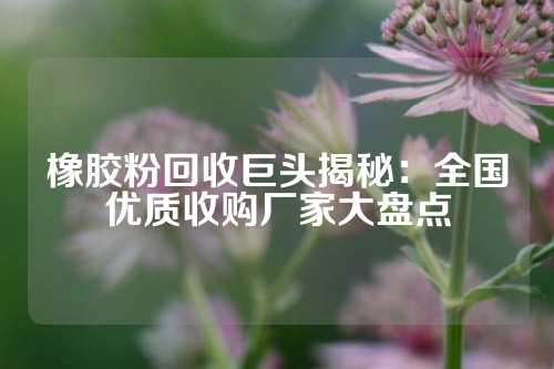 橡胶粉回收巨头揭秘：全国优质收购厂家大盘点