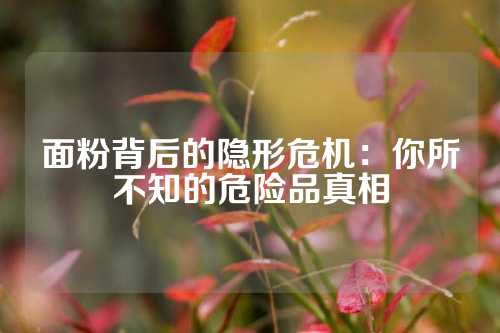 面粉背后的隐形危机：你所不知的危险品真相