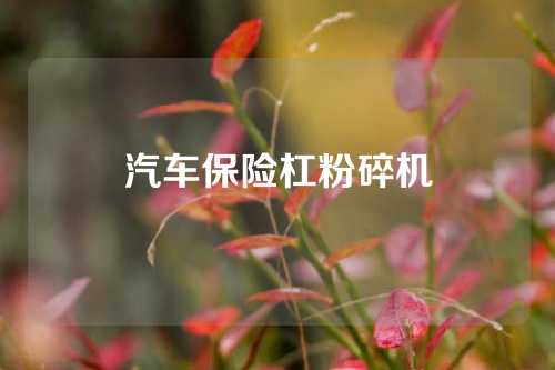 汽车保险杠粉碎机