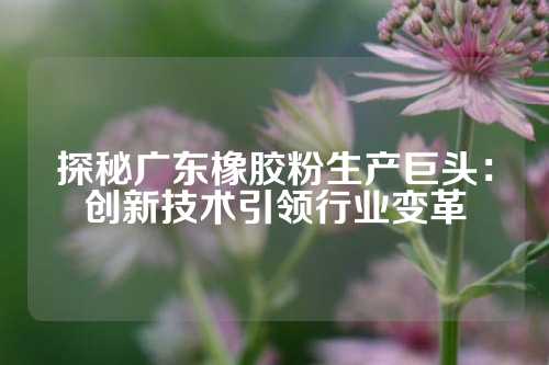 探秘广东橡胶粉生产巨头：创新技术引领行业变革