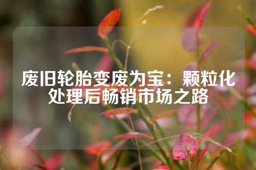 废旧轮胎变废为宝：颗粒化处理后畅销市场之路