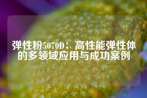 弹性粉5070D：高性能弹性体的多领域应用与成功案例