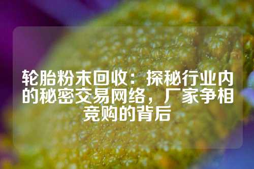 轮胎粉末回收：探秘行业内的秘密交易网络，厂家争相竞购的背后