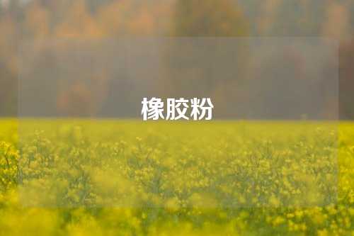 橡胶粉