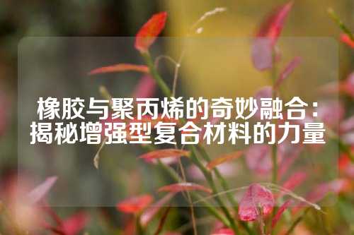 橡胶与聚丙烯的奇妙融合：揭秘增强型复合材料的力量