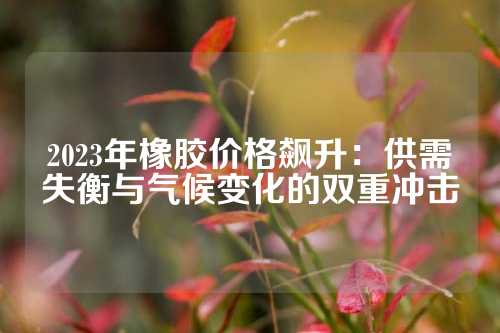 2023年橡胶价格飙升：供需失衡与气候变化的双重冲击