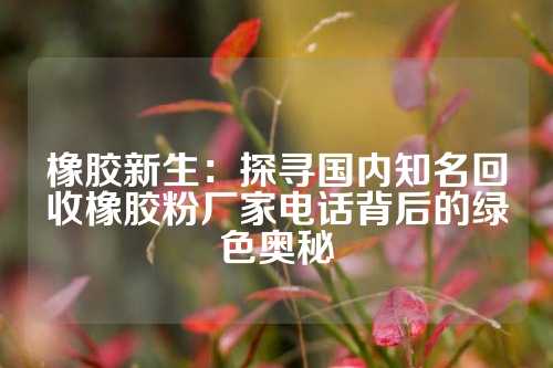 橡胶新生：探寻国内知名回收橡胶粉厂家电话背后的绿色奥秘