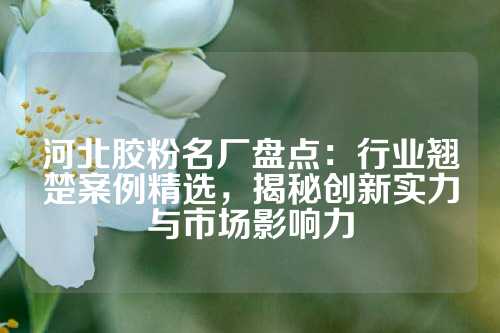 河北胶粉名厂盘点：行业翘楚案例精选，揭秘创新实力与市场影响力