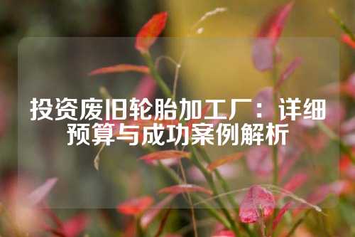 投资废旧轮胎加工厂：详细预算与成功案例解析