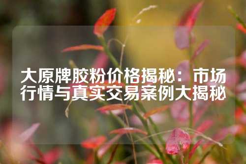 大原牌胶粉价格揭秘：市场行情与真实交易案例大揭秘