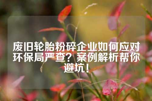 废旧轮胎粉碎企业如何应对环保局严查？案例解析帮你避坑！