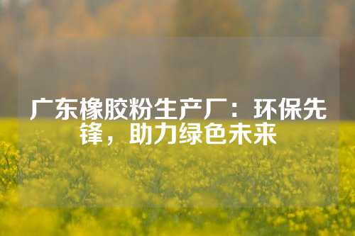 广东橡胶粉生产厂：环保先锋，助力绿色未来