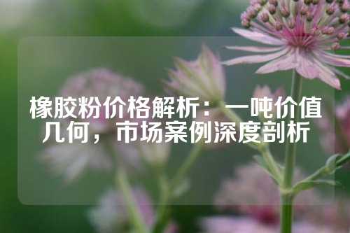 橡胶粉价格解析：一吨价值几何，市场案例深度剖析