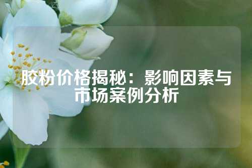 胶粉价格揭秘：影响因素与市场案例分析