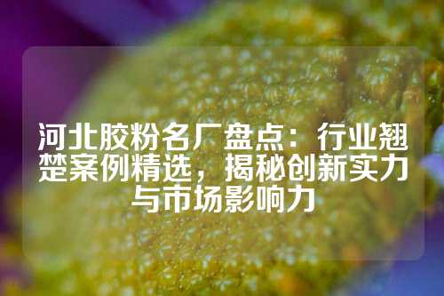 河北胶粉名厂盘点：行业翘楚案例精选，揭秘创新实力与市场影响力