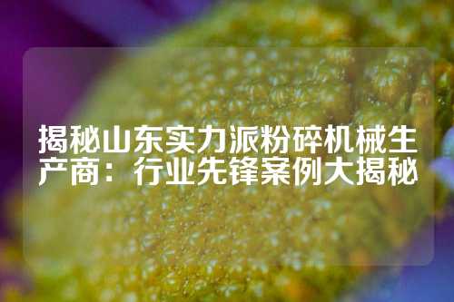 揭秘山东实力派粉碎机械生产商：行业先锋案例大揭秘