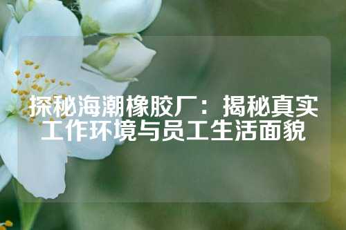 探秘海潮橡胶厂：揭秘真实工作环境与员工生活面貌