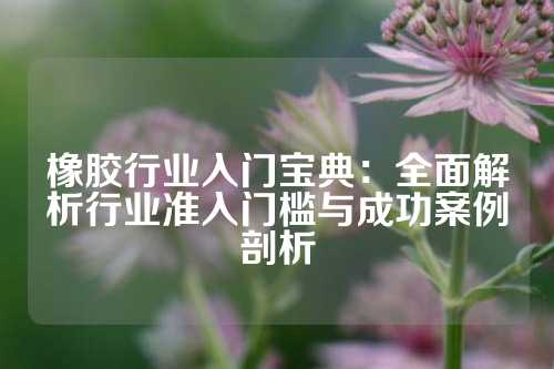 橡胶行业入门宝典：全面解析行业准入门槛与成功案例剖析