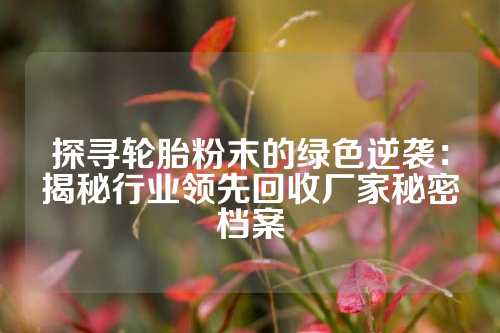 探寻轮胎粉末的绿色逆袭：揭秘行业领先回收厂家秘密档案