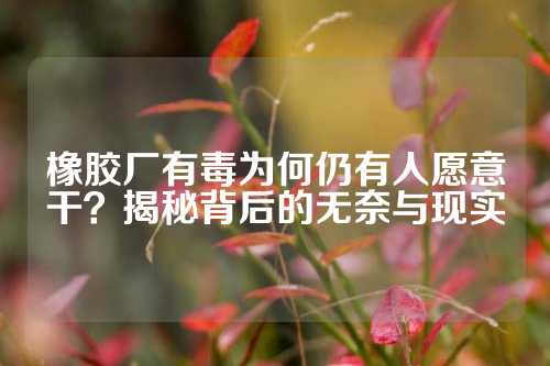 橡胶厂有毒为何仍有人愿意干？揭秘背后的无奈与现实