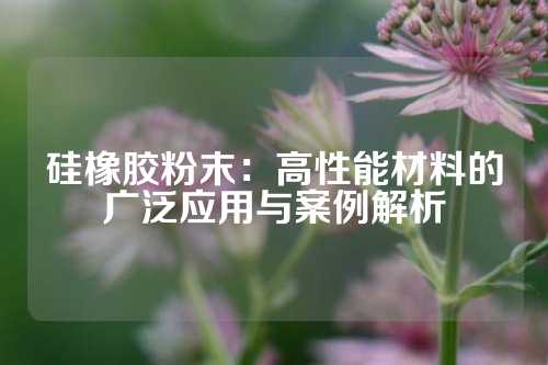 硅橡胶粉末：高性能材料的广泛应用与案例解析