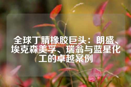 全球丁腈橡胶巨头：朗盛、埃克森美孚、瑞翁与蓝星化工的卓越案例