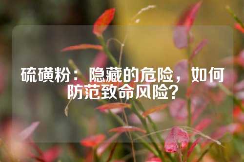 硫磺粉：隐藏的危险，如何防范致命风险？