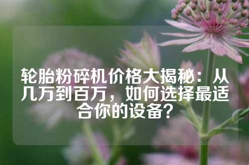 轮胎粉碎机价格大揭秘：从几万到百万，如何选择最适合你的设备？