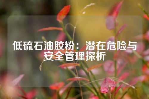 低硫石油胶粉：潜在危险与安全管理探析