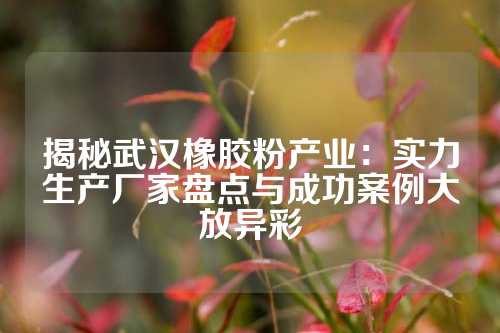 揭秘武汉橡胶粉产业：实力生产厂家盘点与成功案例大放异彩