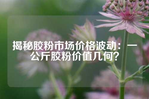 揭秘胶粉市场价格波动：一公斤胶粉价值几何？