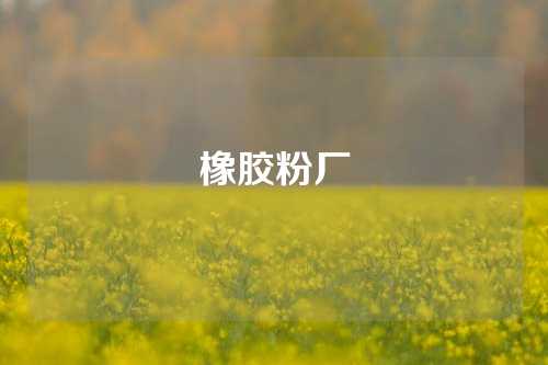 橡胶粉厂
