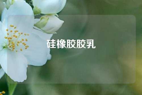 硅橡胶胶乳
