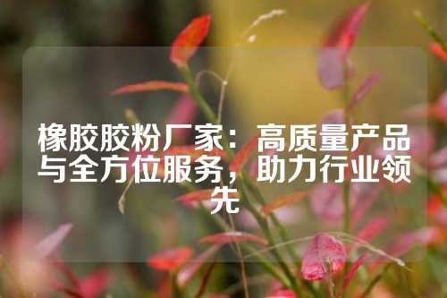 橡胶胶粉厂家：高质量产品与全方位服务，助力行业领先
