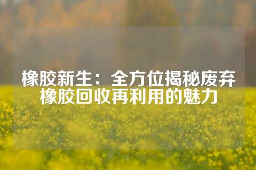 橡胶新生：全方位揭秘废弃橡胶回收再利用的魅力