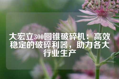 大宏立300圆锥破碎机：高效稳定的破碎利器，助力各大行业生产
