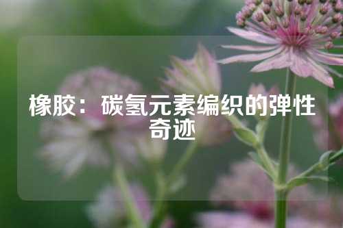 橡胶：碳氢元素编织的弹性奇迹
