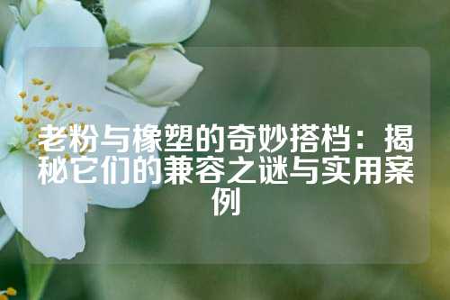 老粉与橡塑的奇妙搭档：揭秘它们的兼容之谜与实用案例