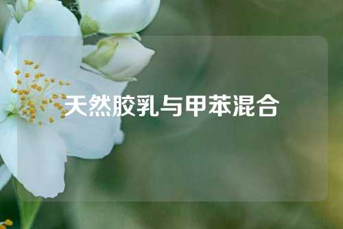 天然胶乳与甲苯混合