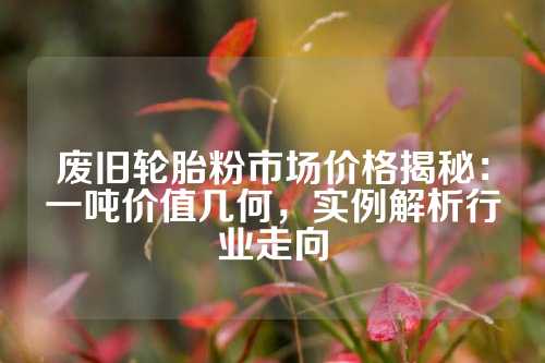 废旧轮胎粉市场价格揭秘：一吨价值几何，实例解析行业走向